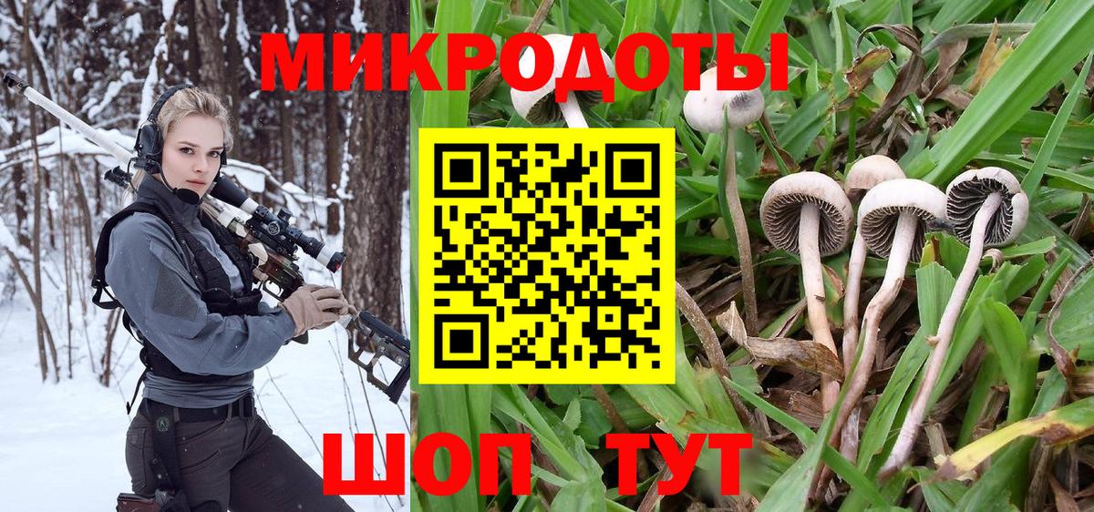 Галлюциногенные грибы Cubensis  Галлюциногенные грибы Cubensis  Луга  Вход с VPN 